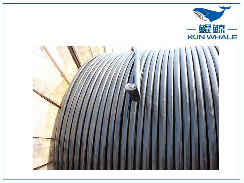 鄭州電纜廠家：什么是RVS電纜？